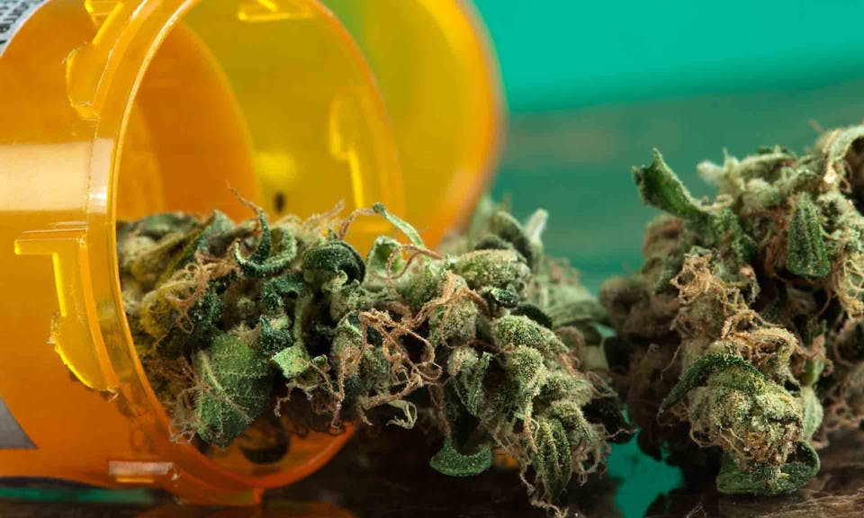 DEA Chief Calls Medical Marijuana “a Joke,” But These 5 Studies Say Otherwise image