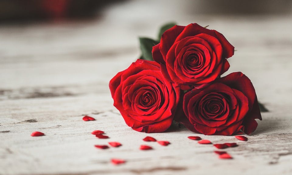 Leafly Users' Best 16 Strains for Valentine’s Day image