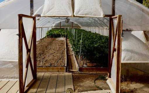 Marijuana Appellation Growing Regions in the Emerald Triangle | Leafly