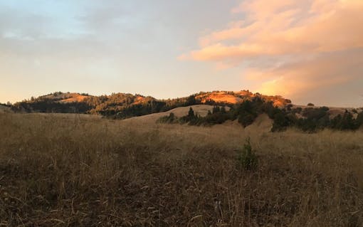 Marijuana Appellation Growing Regions in the Emerald Triangle | Leafly