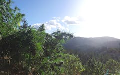 Marijuana Appellation Growing Regions in the Emerald Triangle | Leafly