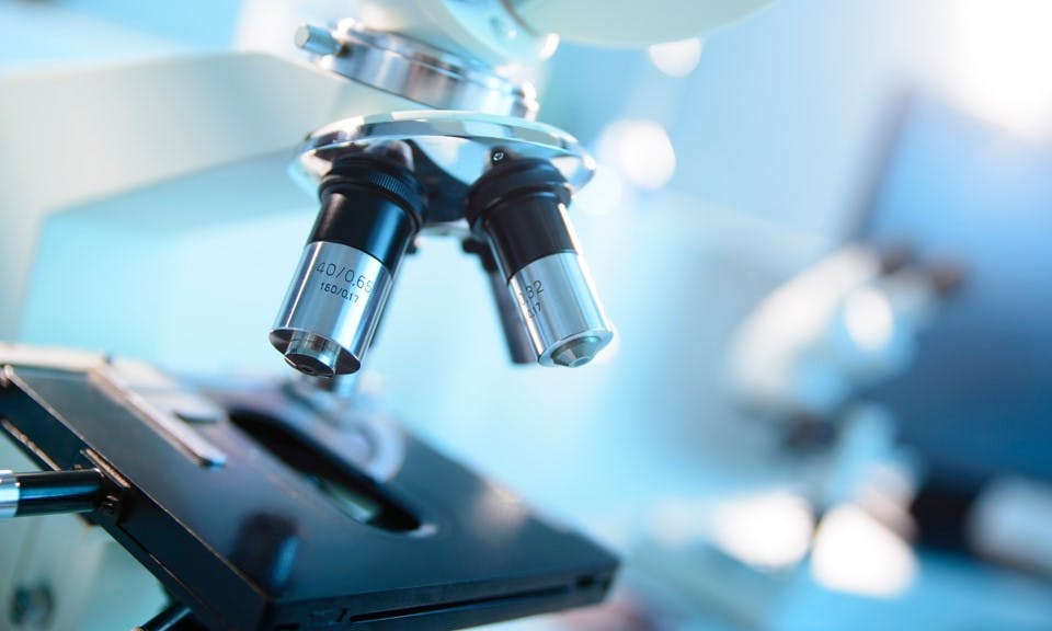 Cannabis Testing: The Importance of Independent Third Party Analyses of Cannabis Products image