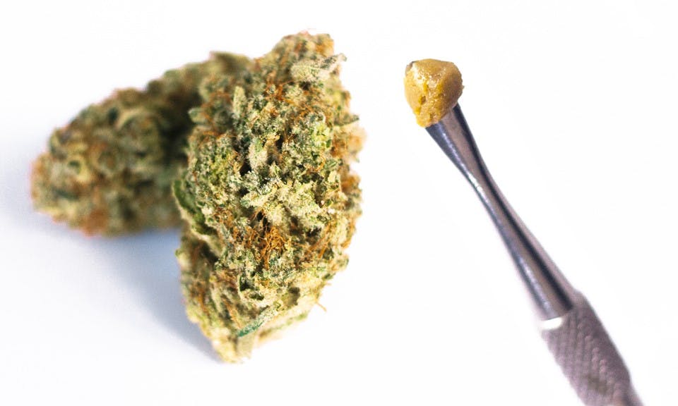 5 differences between cannabis concentrates and flower Leafly