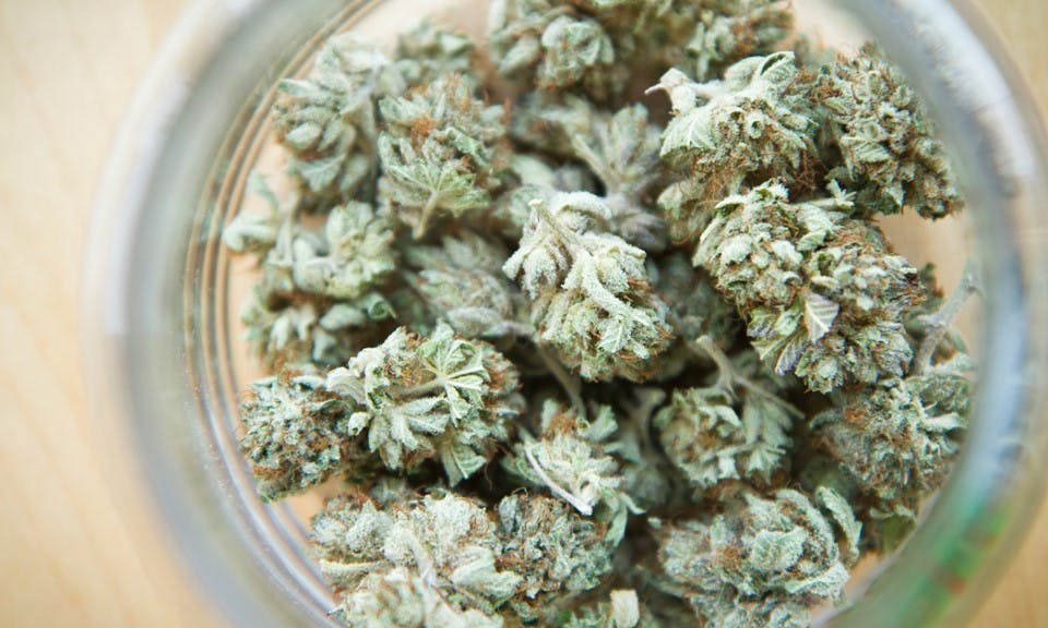 5 ways to help your budtender help you image