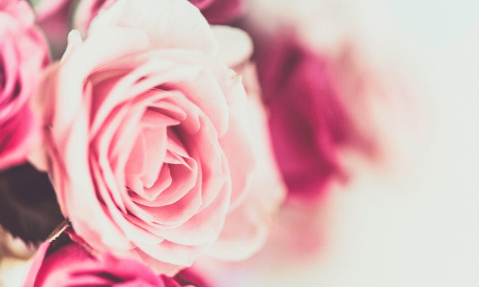 How Did Our Moms React When We Came Out of the Cannabis Closet? image