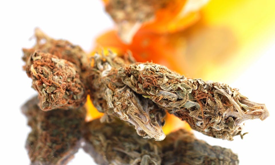 What Are Popcorn Cannabis Buds? Leafly