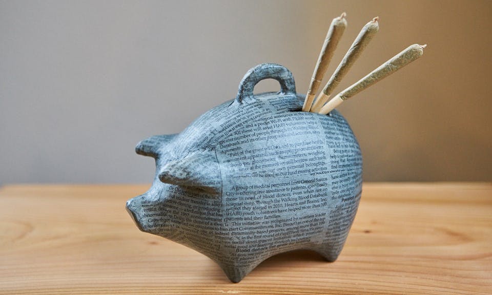 Which Cannabis Strains Give You the Best Bud for Your Buck? image