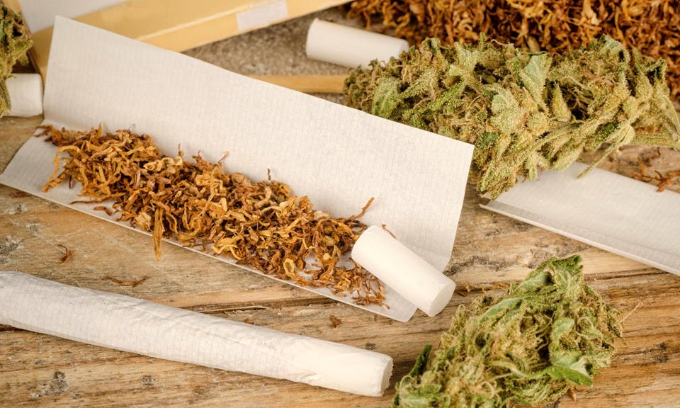 Why Are Europeans Mixing Cannabis and Tobacco? image