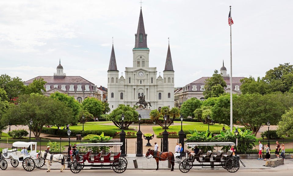 The Definitive Cannabis Travel Guide to New Orleans image