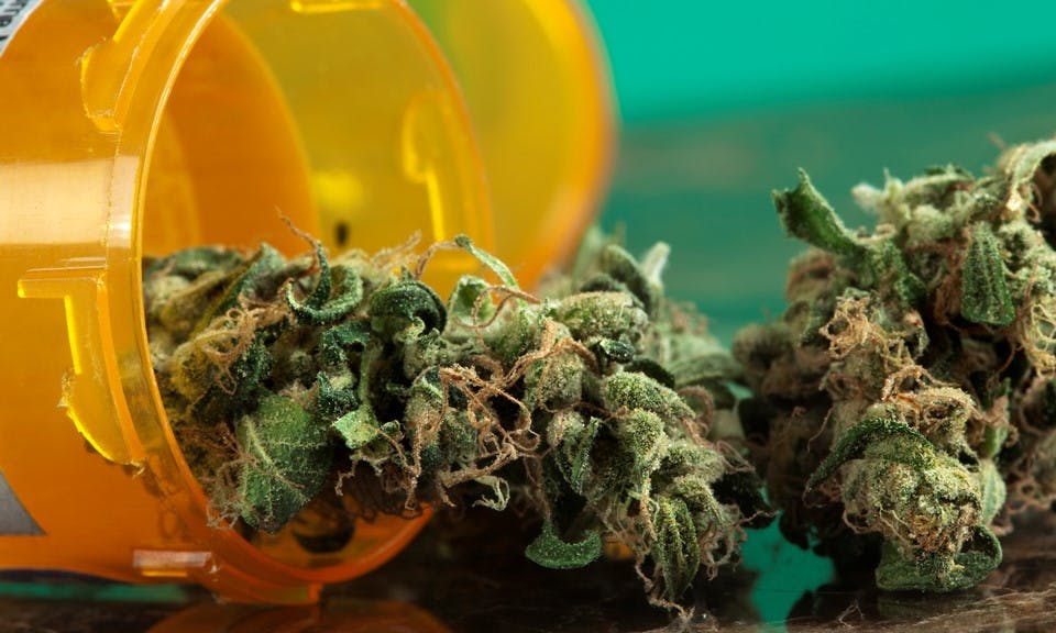 Can cannabis treat fibromyalgia better than prescription drugs? image