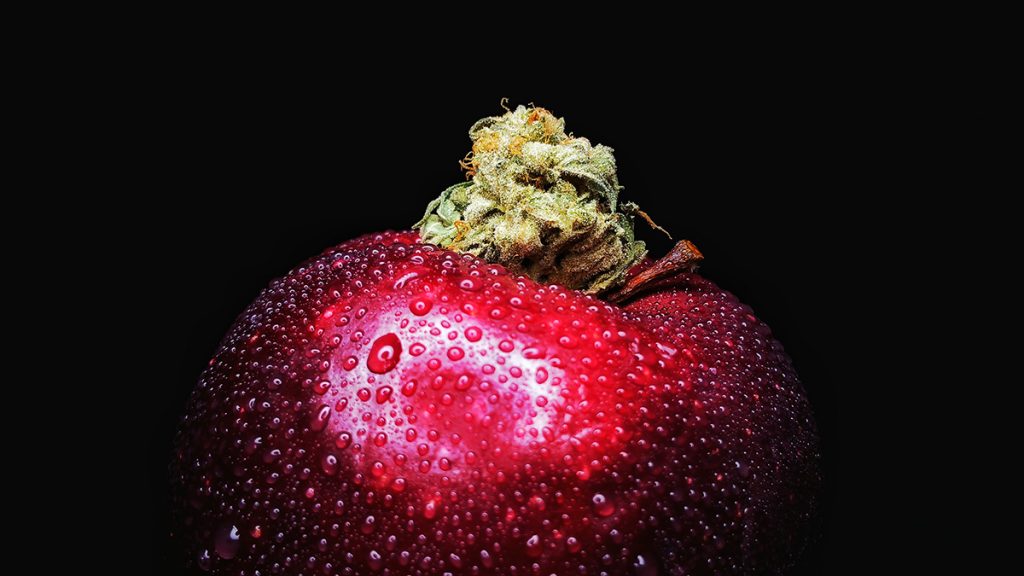 Image of a cannabis bud with a juicy apple