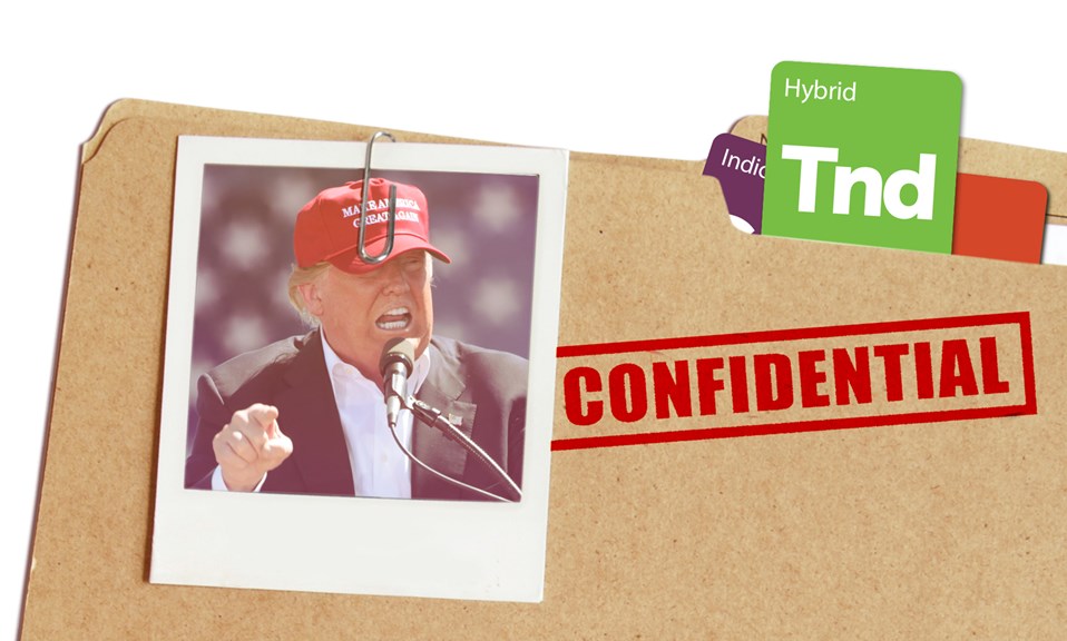 What Strain Does Trump Need Today? Tangerine Dream Leafly