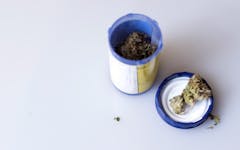 New Study Hints That Cannabis Relieves Pain Better in Men Than Women