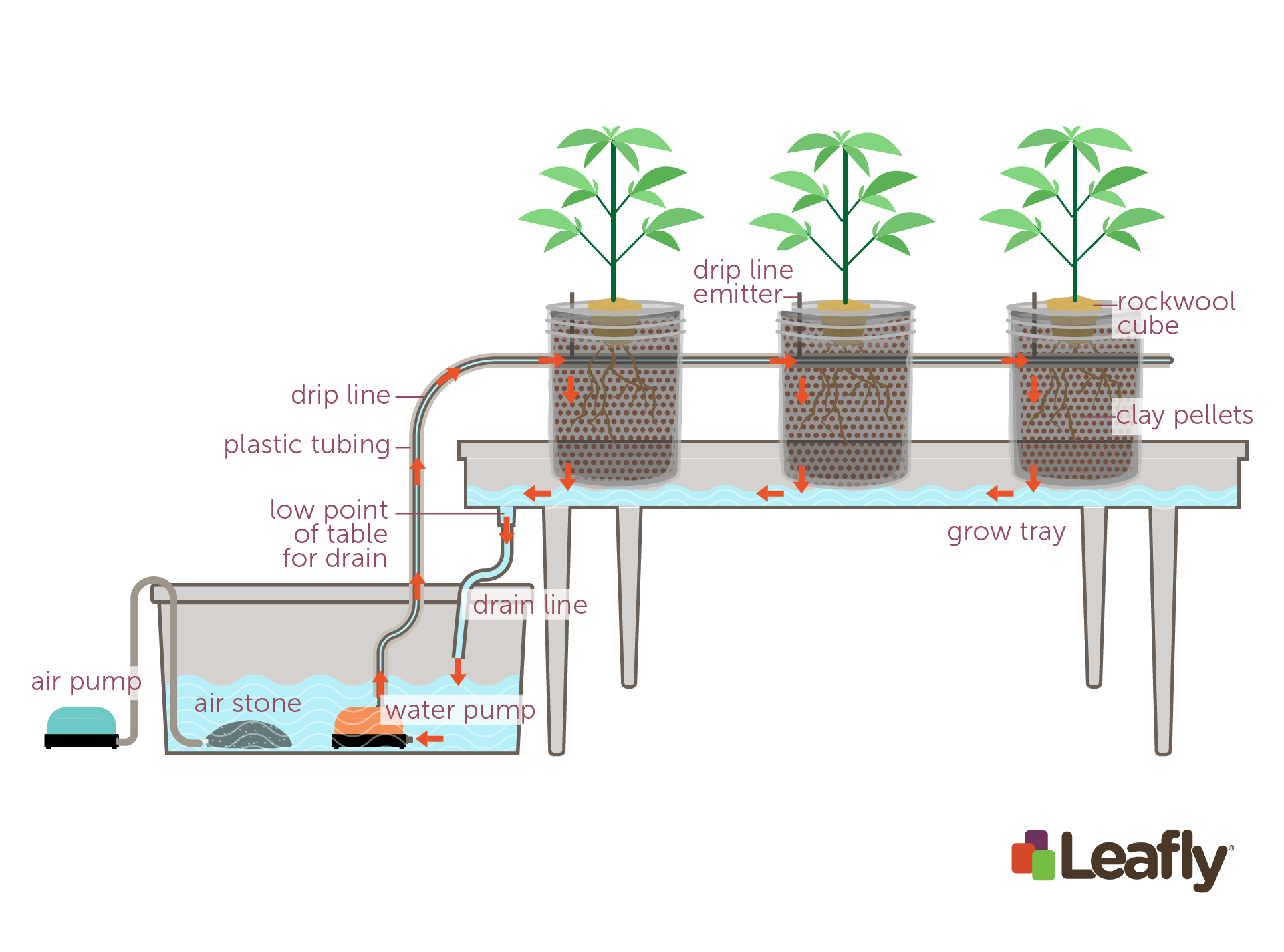 How To Use Hydroponic Growing Systems For Marijuana Leafly