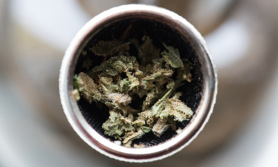 What Are the Side Effects of High-THC Cannabis? image