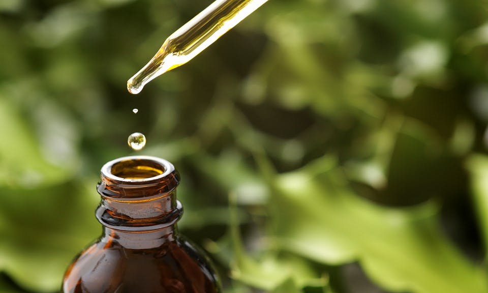 Benefits of Cannabis Terpenes: Terpineol, Valencene, and Geraniol image