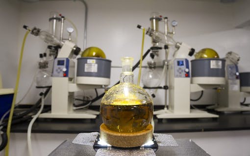 Ethanol Extraction: Pioneering New Methods