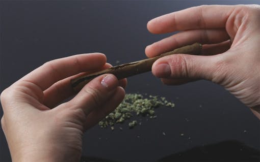 How to Roll a Perfect Blunt: A Step-by-Step Guide