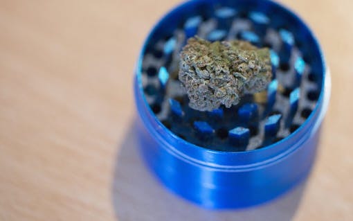 Step 4: Grinding the weed for weedicure nail design