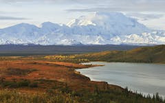 Alaska: Home to Rugged Reality Shows, Adventure Sports, and…Legal Cannabis?