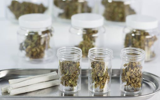 Aromatic cues for identifying old or bad cannabis