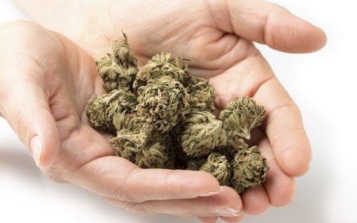 Tactile cues for identifying old or bad cannabis