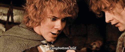 Is longbottom leaf een verwijzing naar cannabis