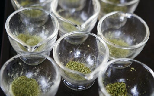 Ground-up marijuana flowers sit before potency testing at Analytical 360 in Yakima, Wash. Washington state has agreed to begin more regular testing for banned pesticides in marijuana. The testing is expected to begin early next year and will examine marijuana where regulators have reason to suspect illegal pesticides have been used. (Kaitlyn Bernauer/Yakima Herald-Republic via AP)