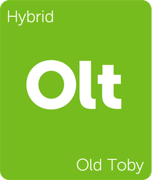 Leafly Old Toby cannabis strain