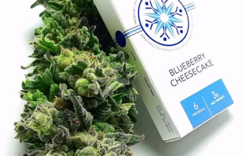 Blueberry Cheesecake cannabis pre roll from Solstice