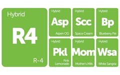 New Strains Alert: Space Cream, Mother’s Milk, Pink Lemonade, and More