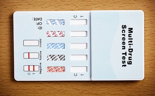 cbd in drug test results