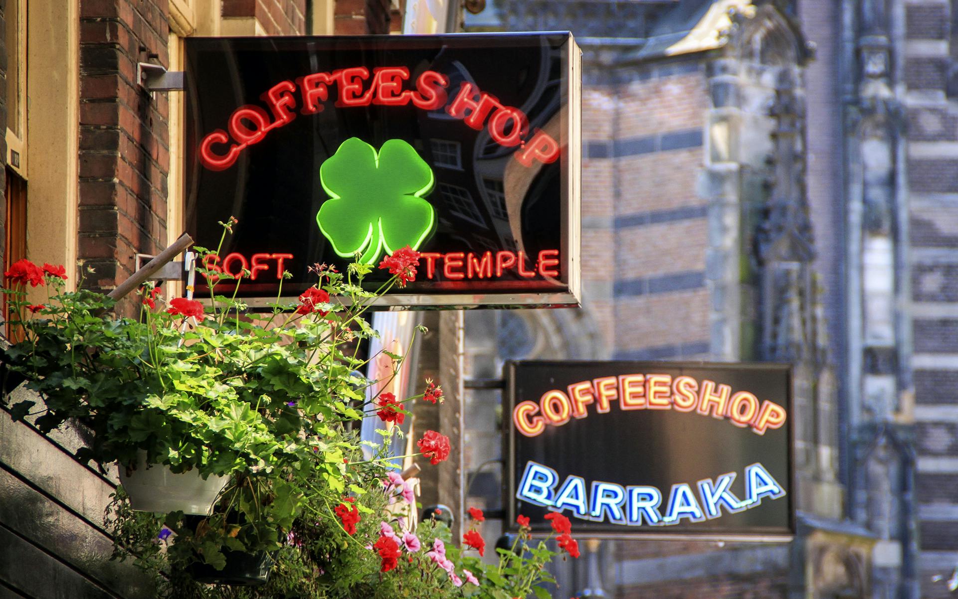 Dutch Majority Wants to Legalize Commercial Cultivation image