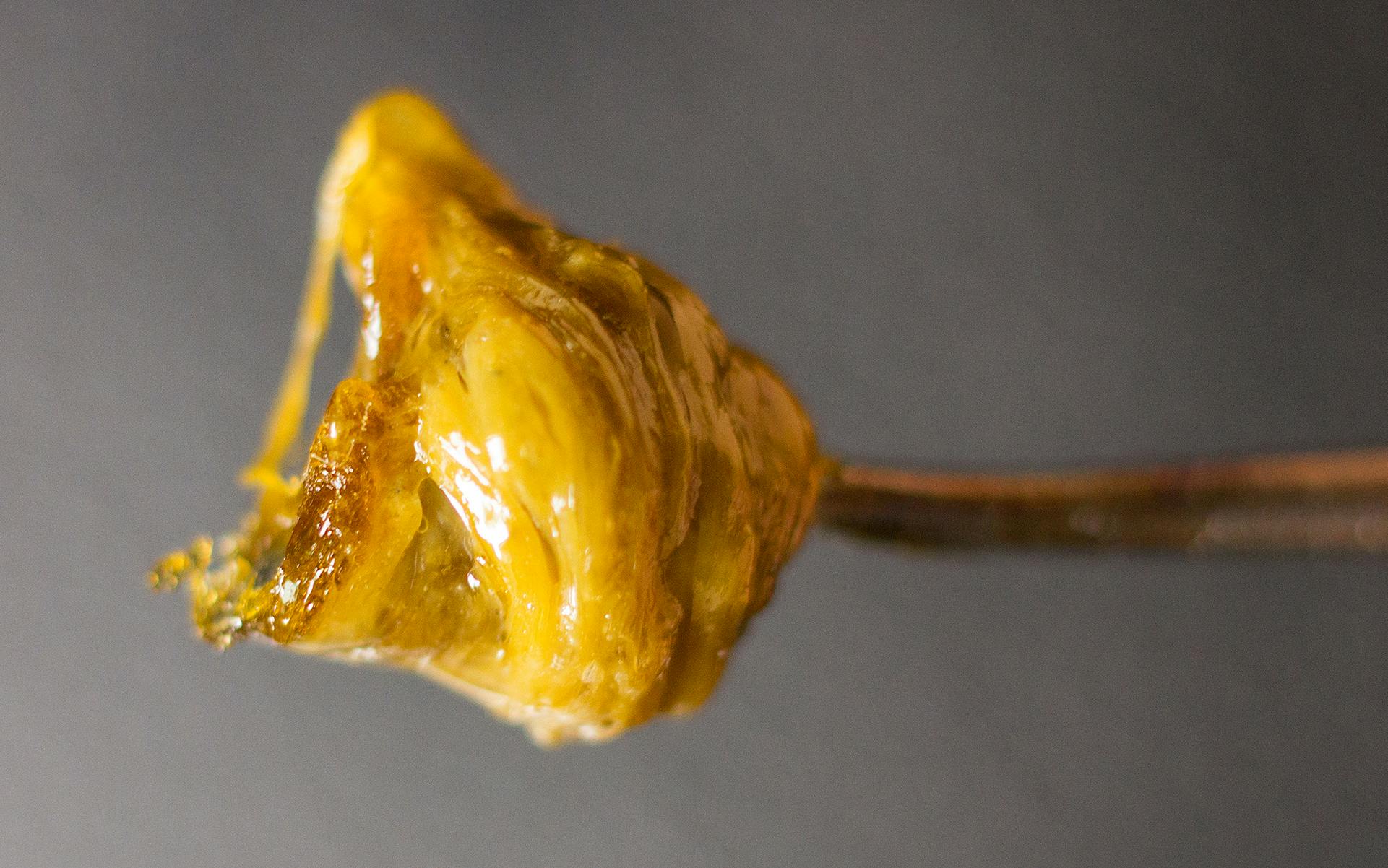 5 Experts' Views on Cannabis Concentrates image