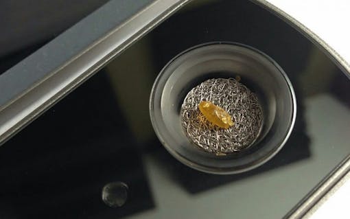 concentrate-firefly-5