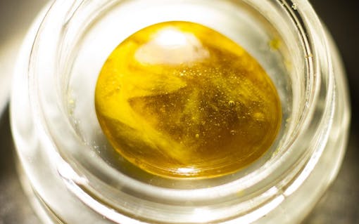 concentrate-firefly-7