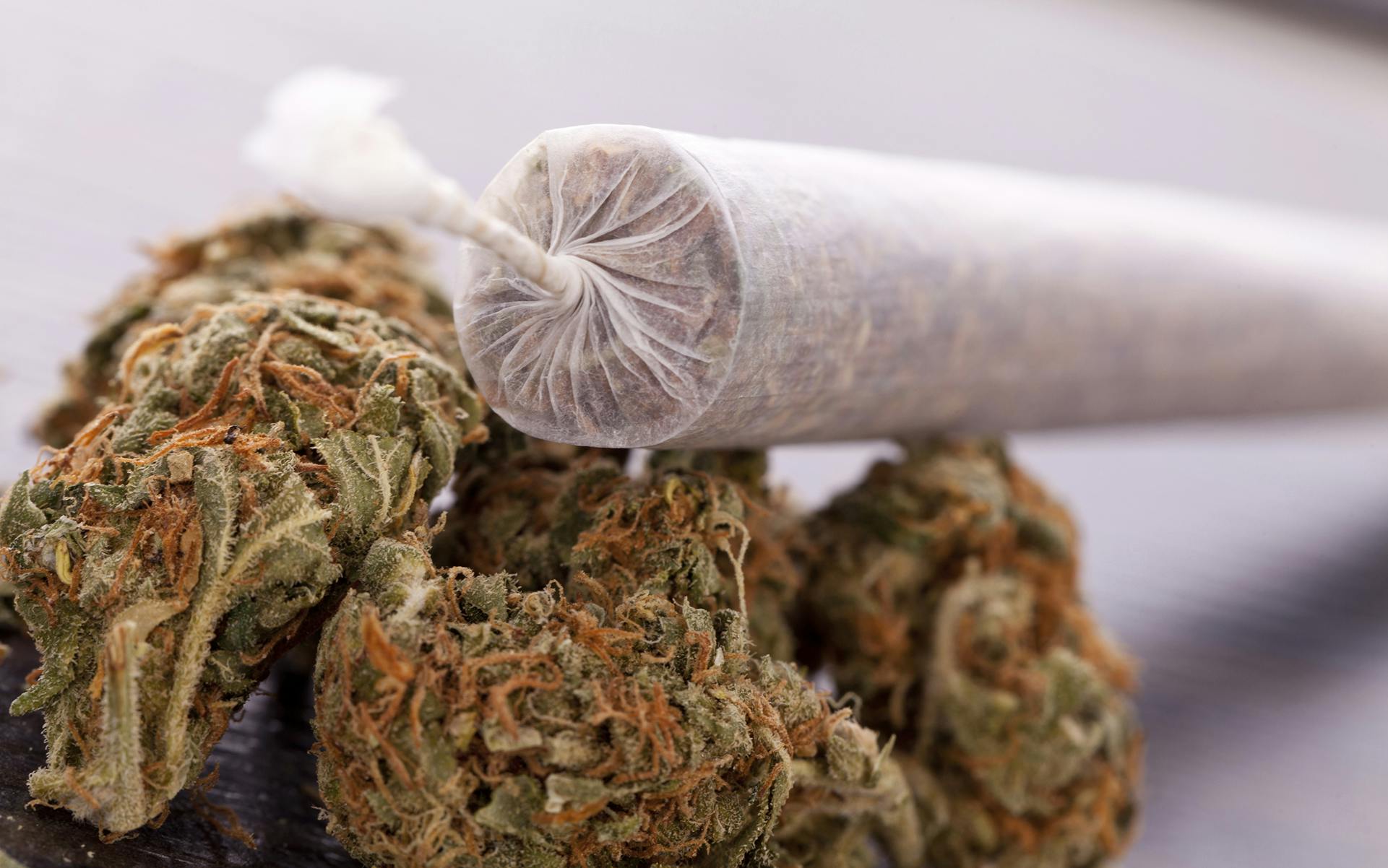 How to Make a Joint Burn Slower and Last Longer Leafly