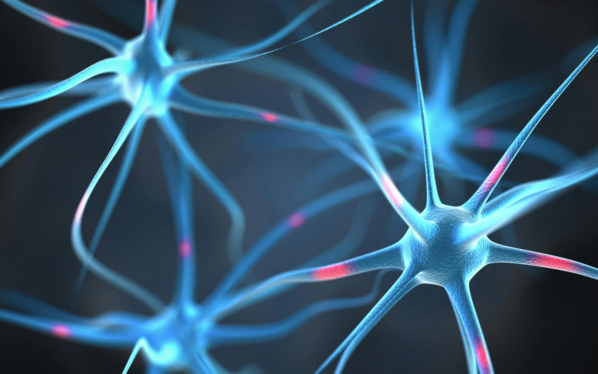 What is CBD and how does it work in the brain? image