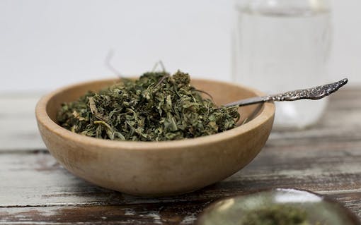 Cannabis Chefs & Infused Cooking - Leafly