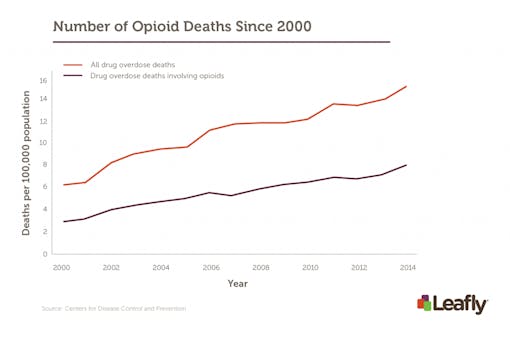 Opioids make up an enormous percentage of total drug overdoses in the U.S.