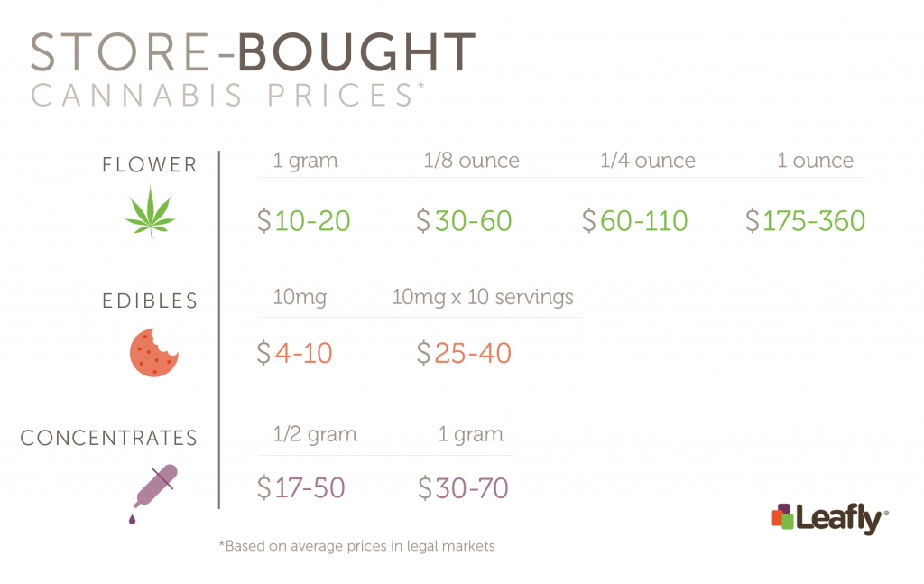 Why Buy at the Dispensary When You Can Grow Cannabis at Home for