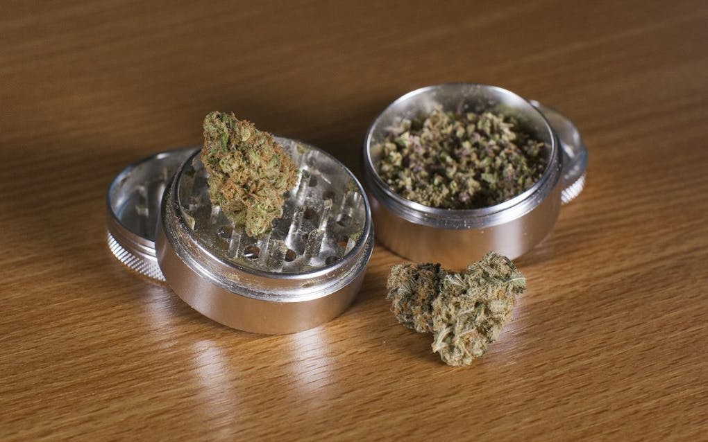 What is a Marijuana Grinder &amp; How Do You Use It? | Leafly