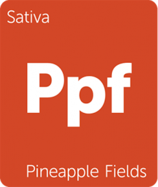 New Strains Alert Pineapple Fields, Purple Pinecone, Fruity Widow, and More Leafly