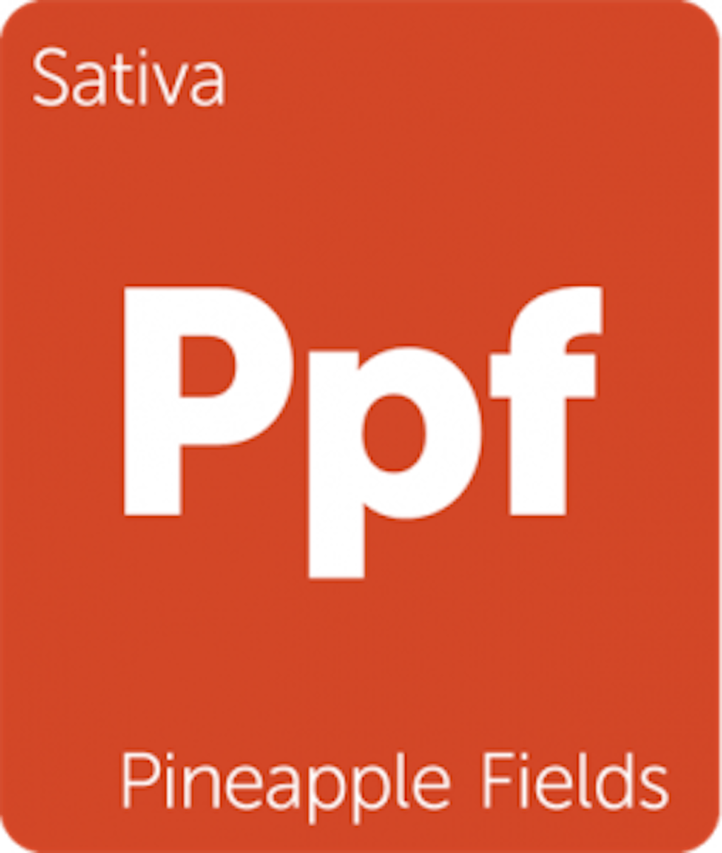 New Strains Alert Pineapple Fields, Purple Pinecone, Fruity Widow, and