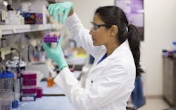 Study shows CBD can increase cannabis’ psychoactive effects image