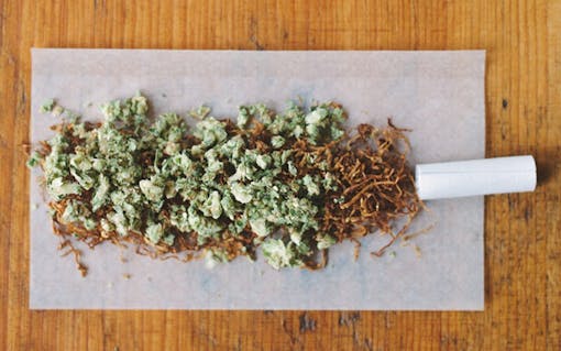 History of Cannabis Consumption & Vaporizers