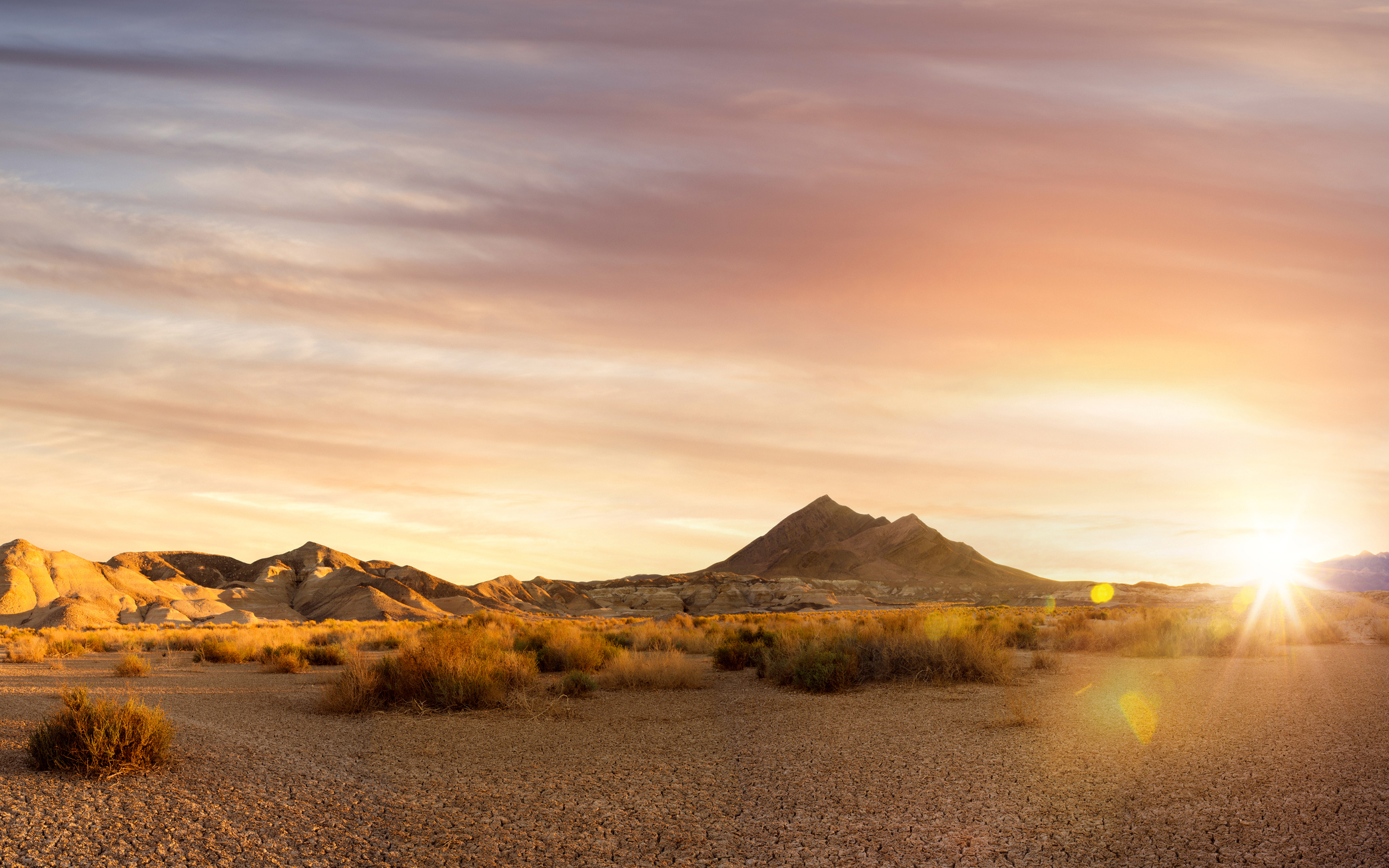 Journey between. Закат в Неваде\. Desert Bush Sunset.
