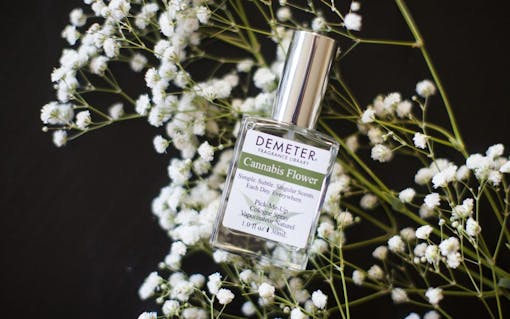 cannabis-perfumes-3