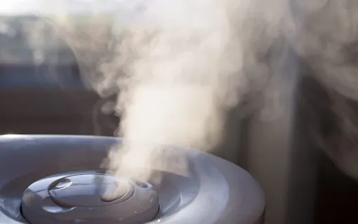 Vapor from humidifier in the morning light