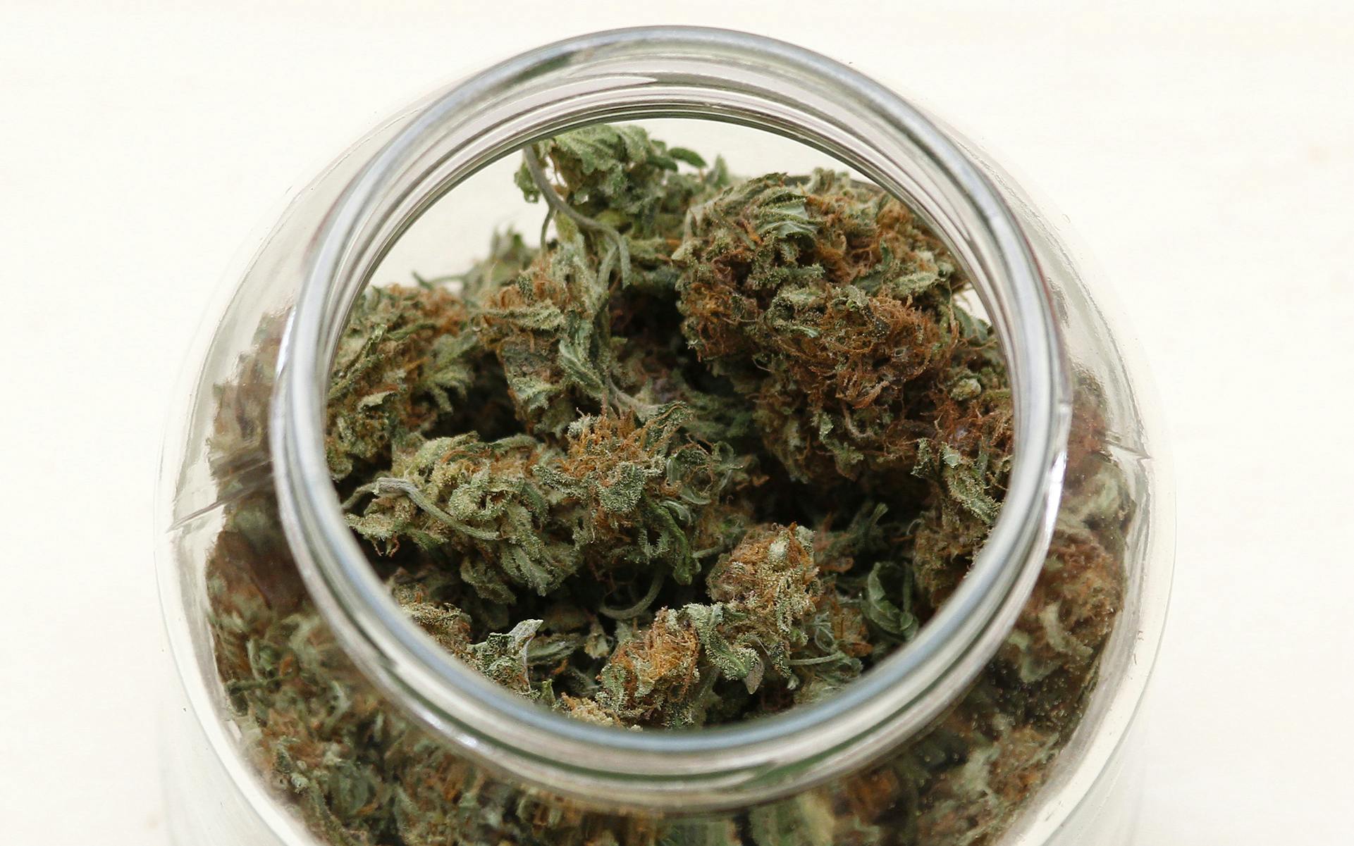 What Influences Degradation of THC and Other Cannabinoids? image